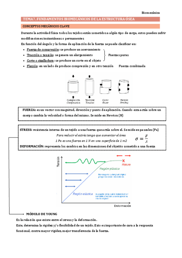 Miniatura del documento BIOMECANICA-7-10.pdf