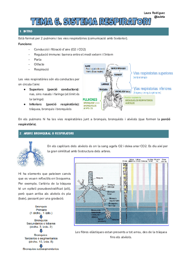 Miniatura del documento Tema-6-Histologia.pdf