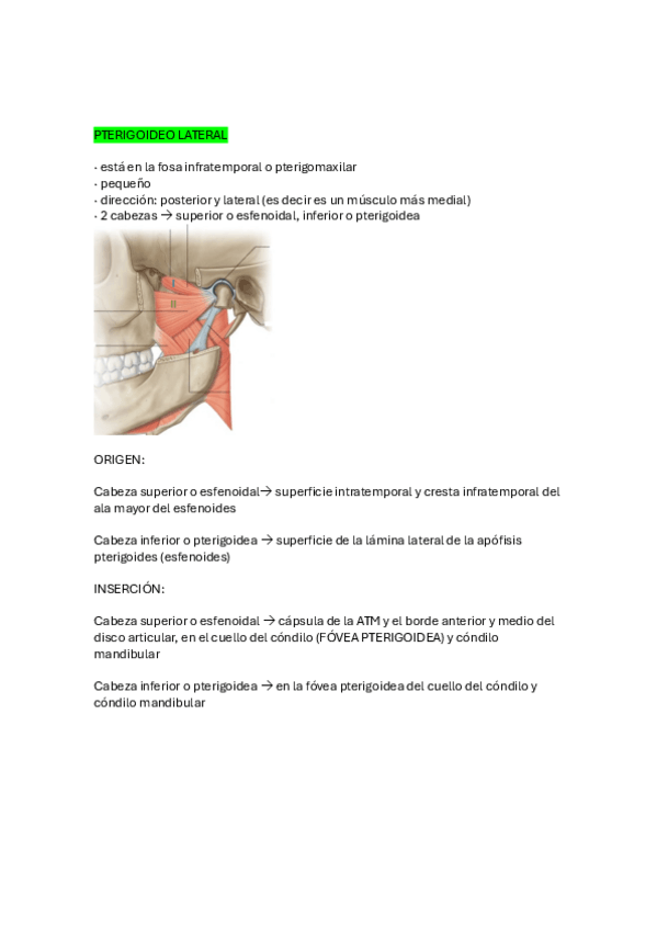 Miniatura del documento T.12-m.-de-la-masticacion-pterigoideo-lateral.pdf