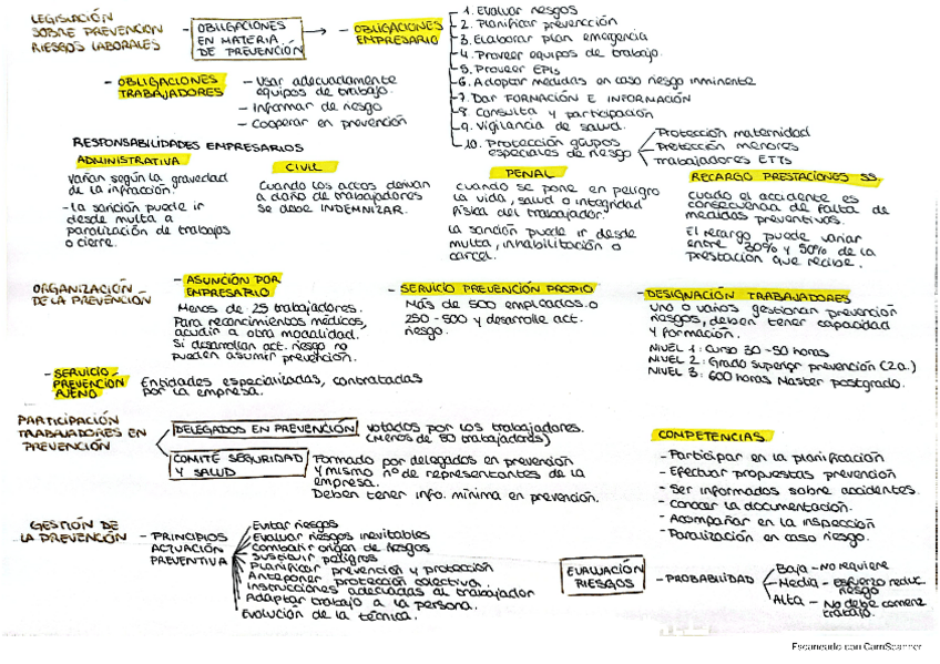 Miniatura del documento Prevencion-de-riesgos-organizacion.pdf