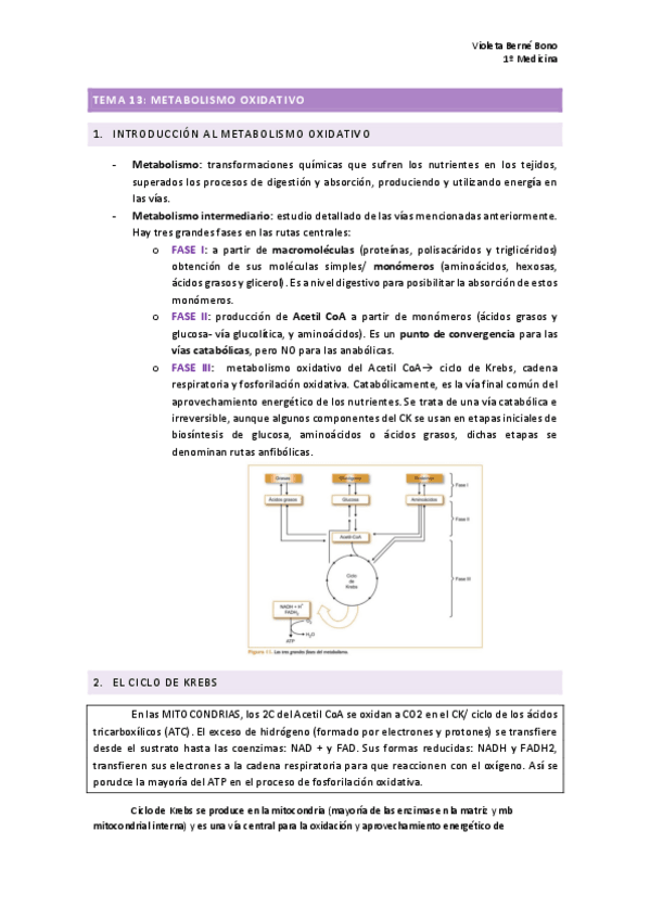 Miniatura del documento TEMA-13-METABOLISMO-OXIDATIVO.pdf