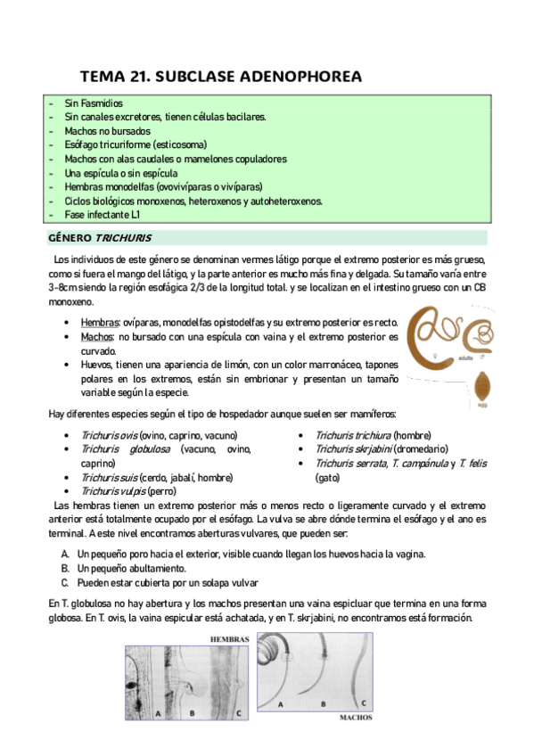 Miniatura del documento parasitologia-tema-21.pdf