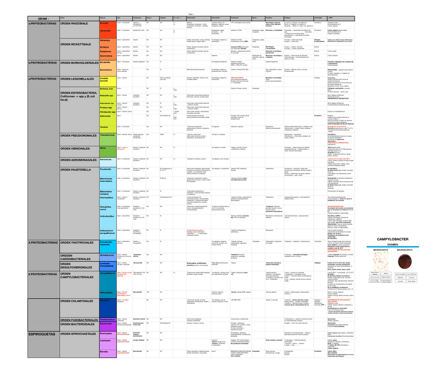 Miniatura del documento Tabla-COMPLETA-GRAM-.pdf