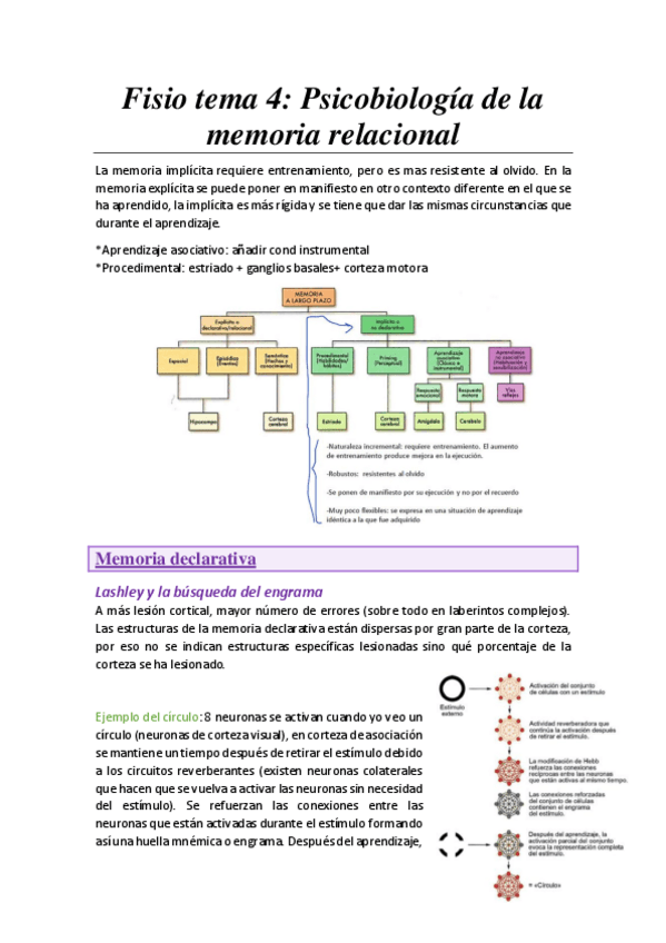 Miniatura del documento Tema-4.-Memoria-Relacional.pdf