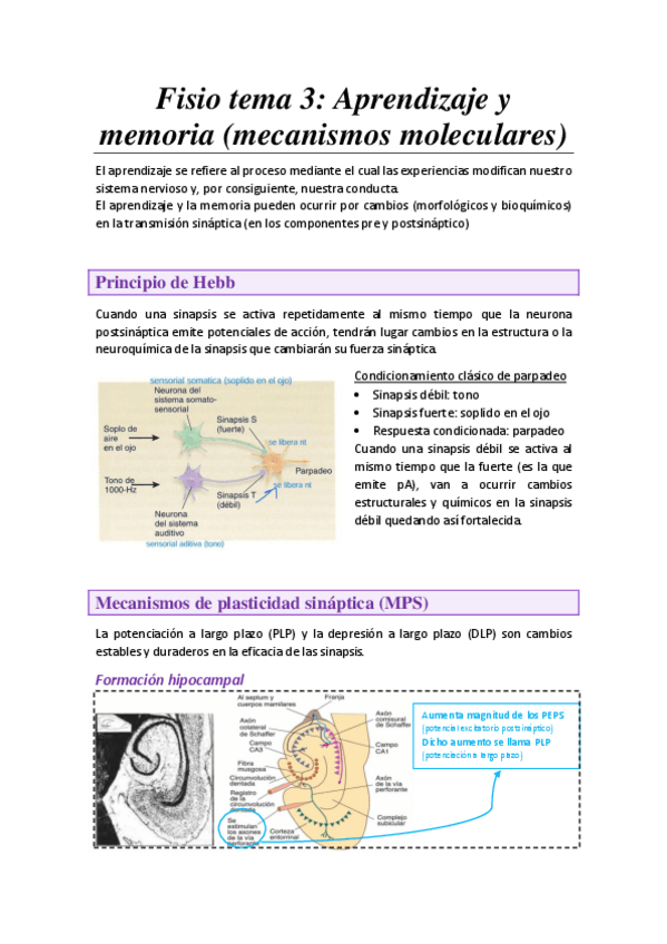 Miniatura del documento Tema-3.-Mecanismos-moleculares.pdf