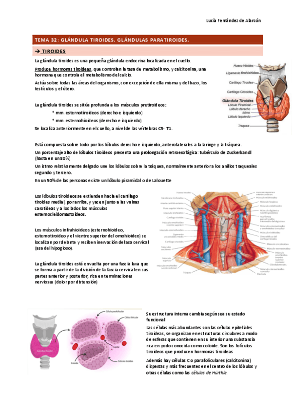 Miniatura del documento tema-32-33-34-y-35.pdf