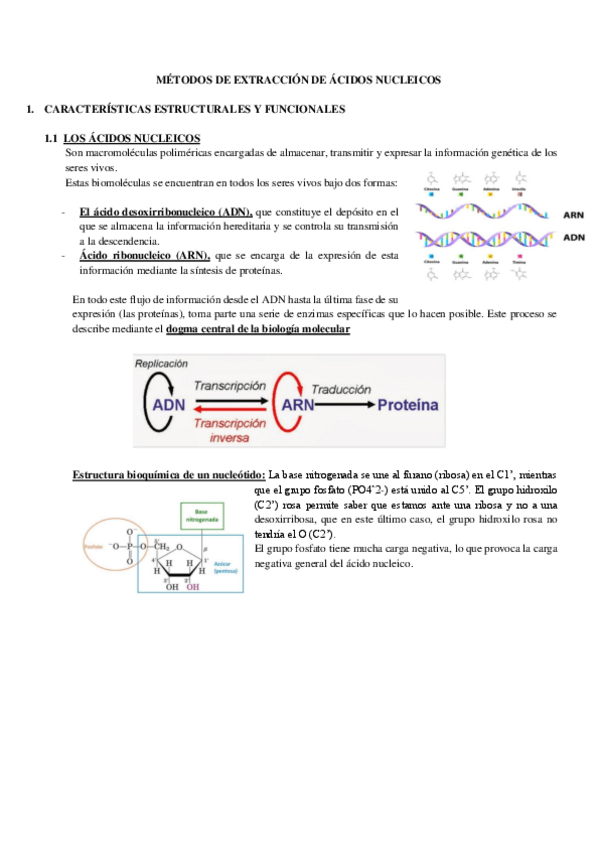 Miniatura del documento TEMA-5.-Metodos-de-extraccion-de-acidos-nucleicos.pdf