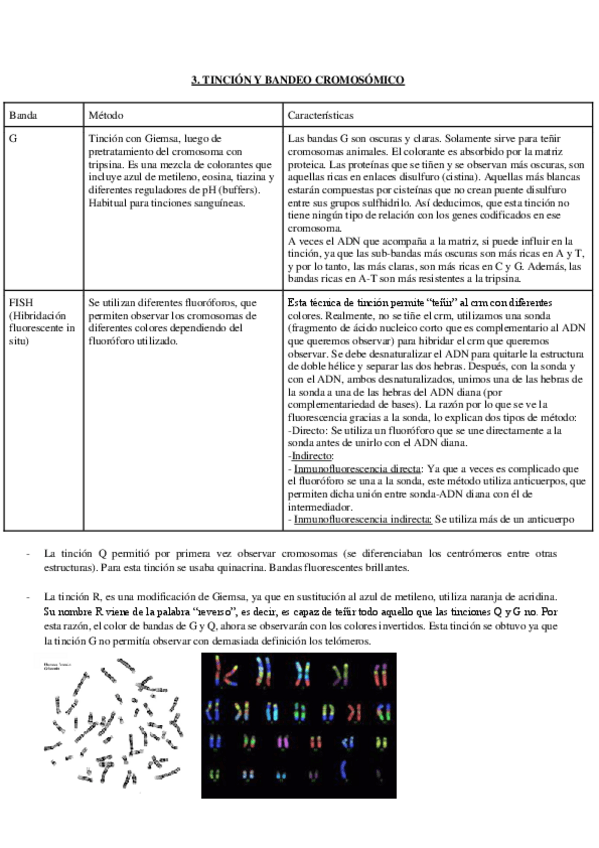 Miniatura del documento TEMA-4.-Tinciones-cromosomicas.pdf