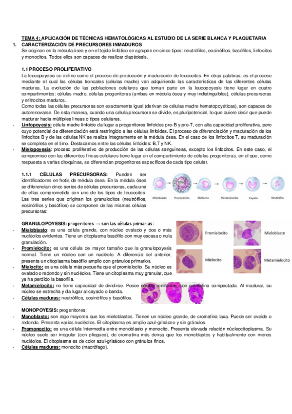 Miniatura del documento TEMA-4-APLICACION-DE-TECNICAS-HEMATOLOGICAS-AL-ESTUDIO-DE-LA-SERIE-BLANCA-Y-PLAQUETARIA.pdf