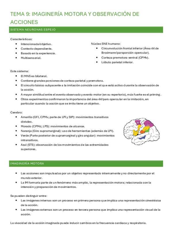 Miniatura del documento TEMA-9-IMAGINERIA-MOTORA.pdf