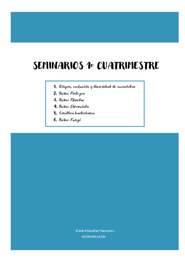 Miniatura del documento Seminarios-micro-1o-cuatri.pdf