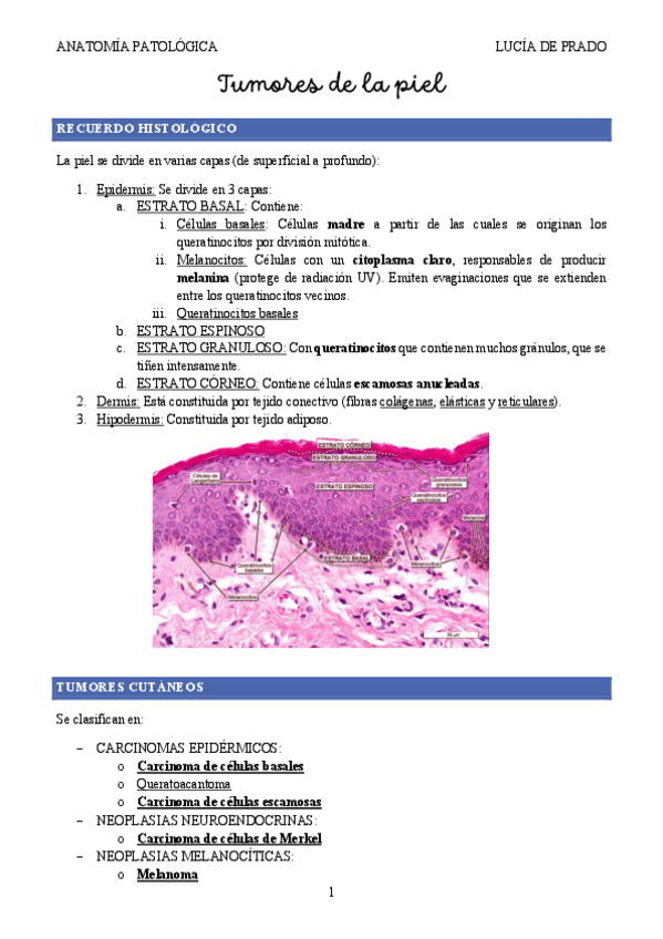 Miniatura del documento TUMORES-PIEL-AP-2024-25.pdf