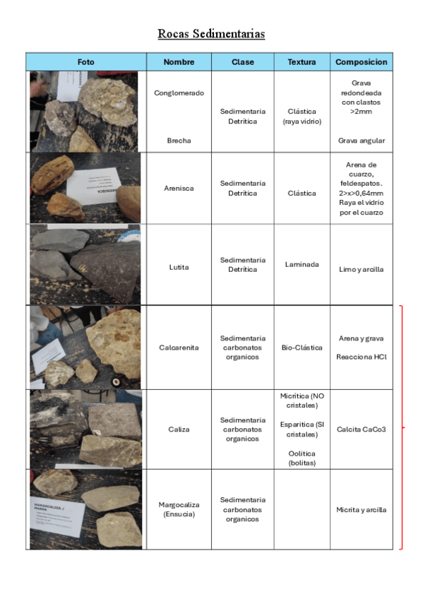 Miniatura del documento ApuntesExamenRocas.pdf
