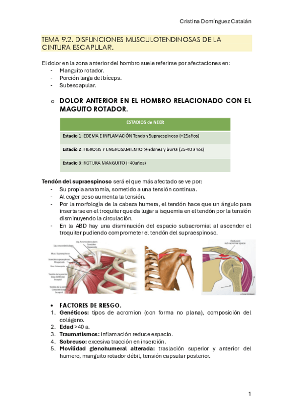 Miniatura del documento Disfunciones-Mesq-tema-9.2-isa.pdf