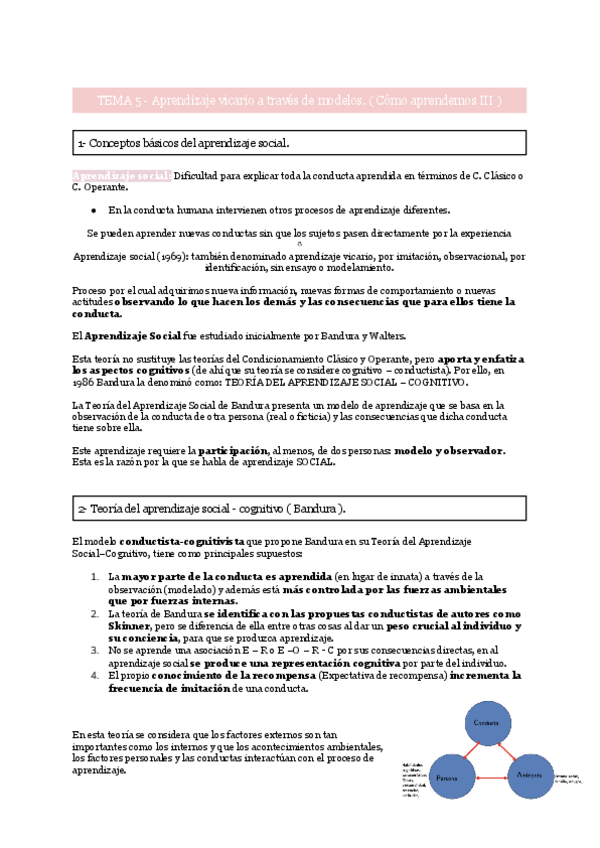 Miniatura del documento Tema-5-Aprendizaje-vicario-a-traves-de-modelos..pdf