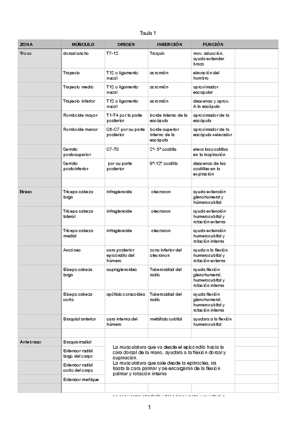 Miniatura del documento Músculos .pdf