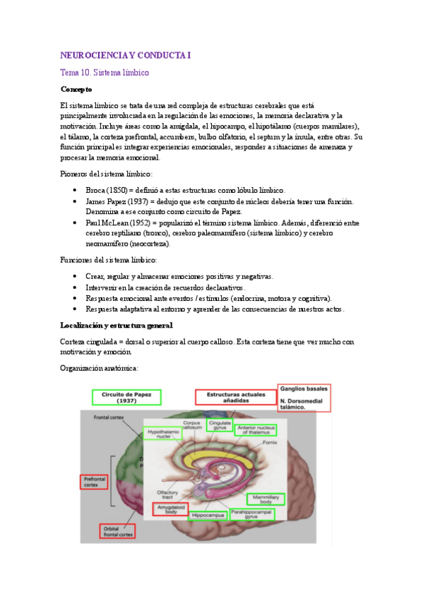 Miniatura del documento Neuro-T10.pdf