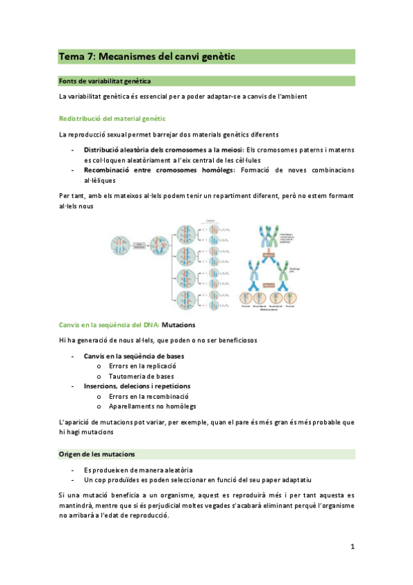 Miniatura del documento T7-GEN.pdf