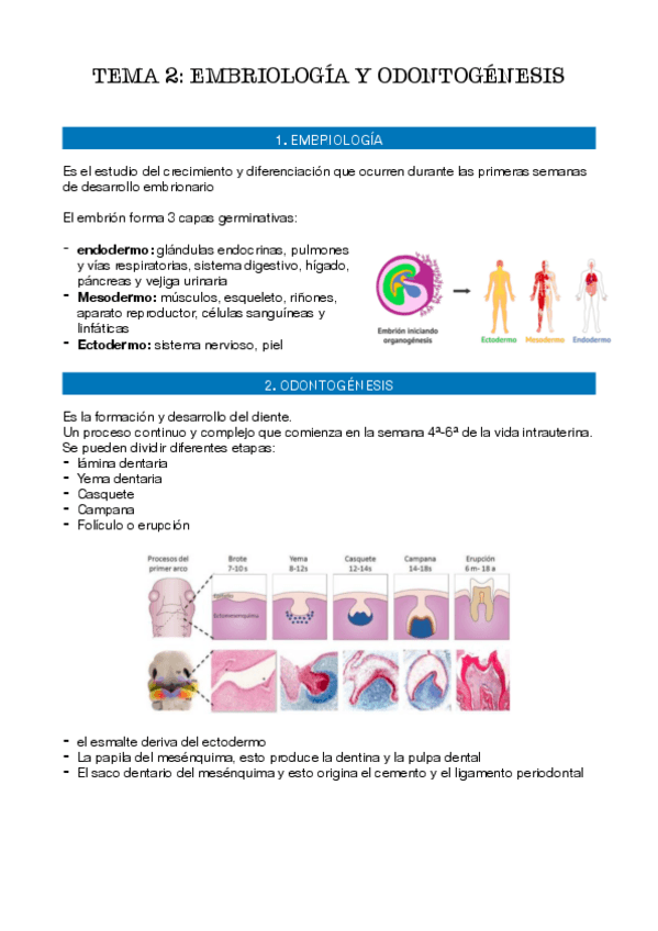 Miniatura del documento tema-2.pdf