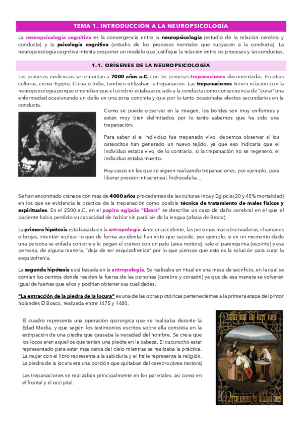 Miniatura del documento Temario-Neuropsicologia-Cognitiva.pdf