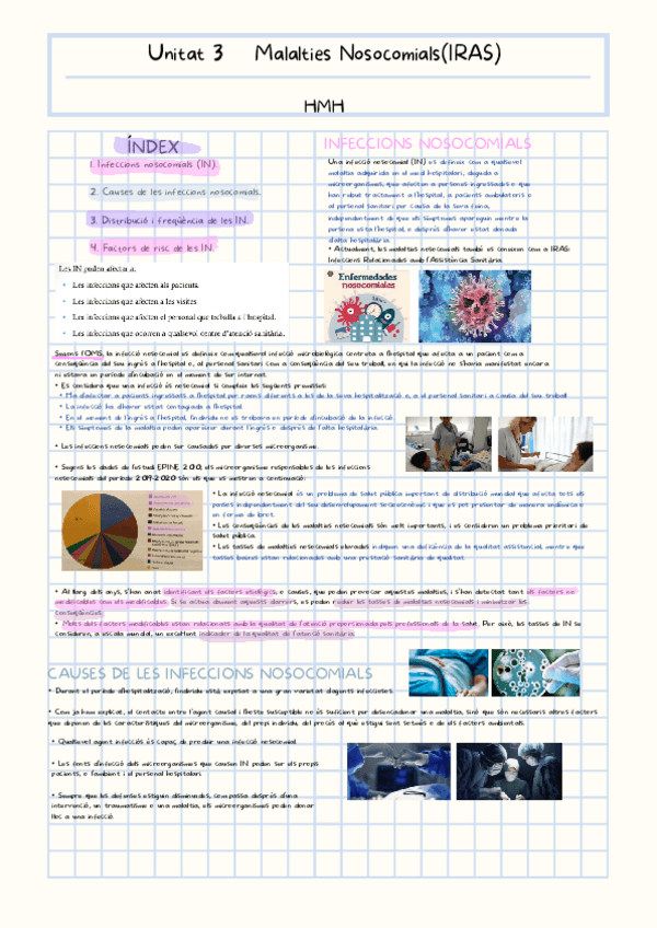 Miniatura del documento HMH-Malalties-Nosocomials-IRAS.pdf