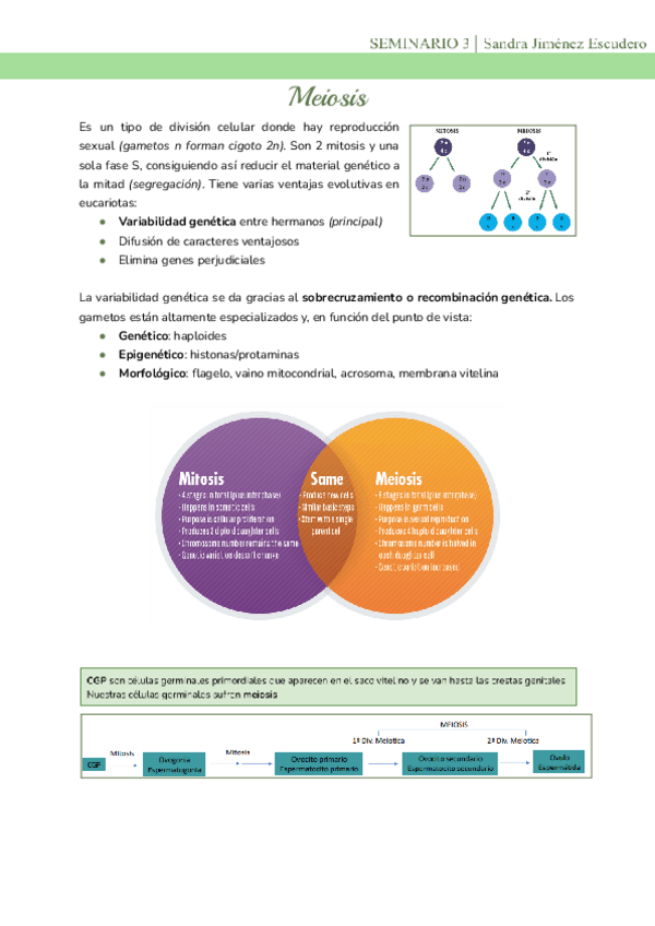 Miniatura del documento Seminario-3-Meiosis.pdf