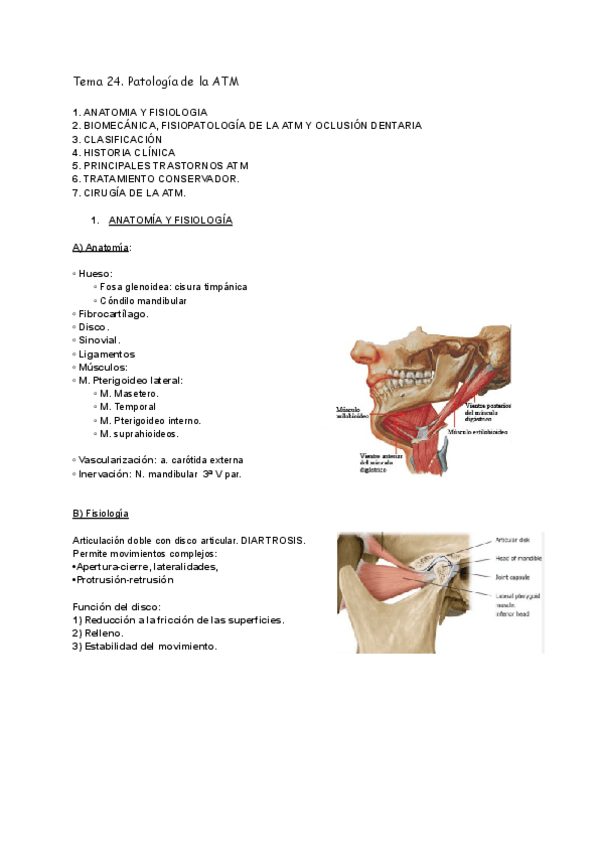 Miniatura del documento Tema-24.-Patologia-de-la-ATM.pdf