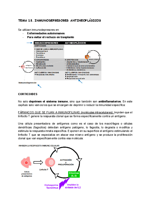 Miniatura del documento TEMA-18.-Inmunodepresores-antineoplasicos.pdf