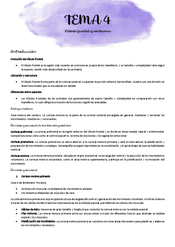 Miniatura del documento TEMA-4-NEUROPSICOLOGIA.pdf