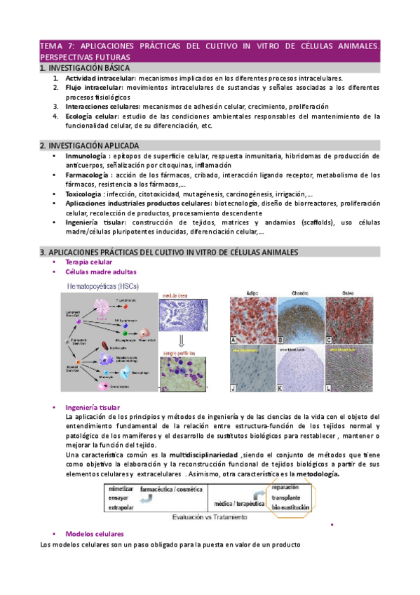 Miniatura del documento Tema-7.pdf