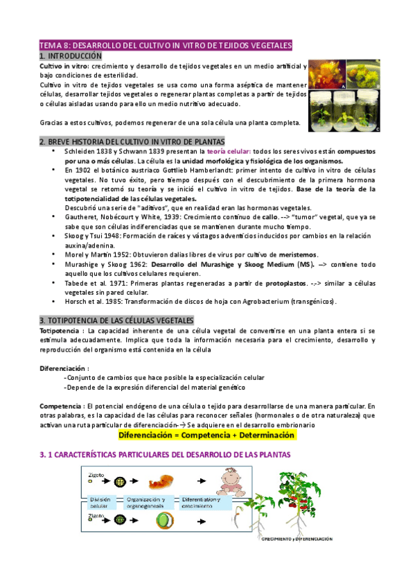 Miniatura del documento Tema-8.pdf