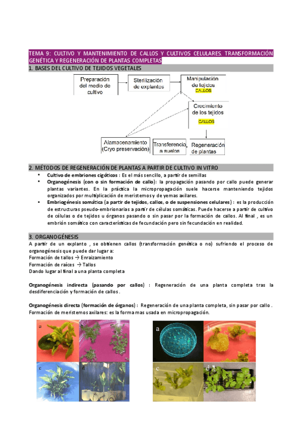 Miniatura del documento Tema-9.pdf