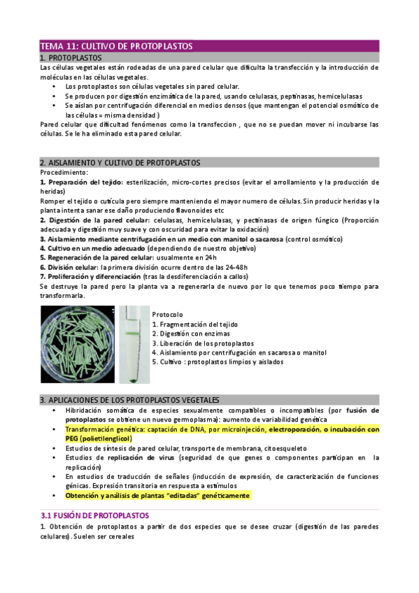 Miniatura del documento Tema-11.pdf