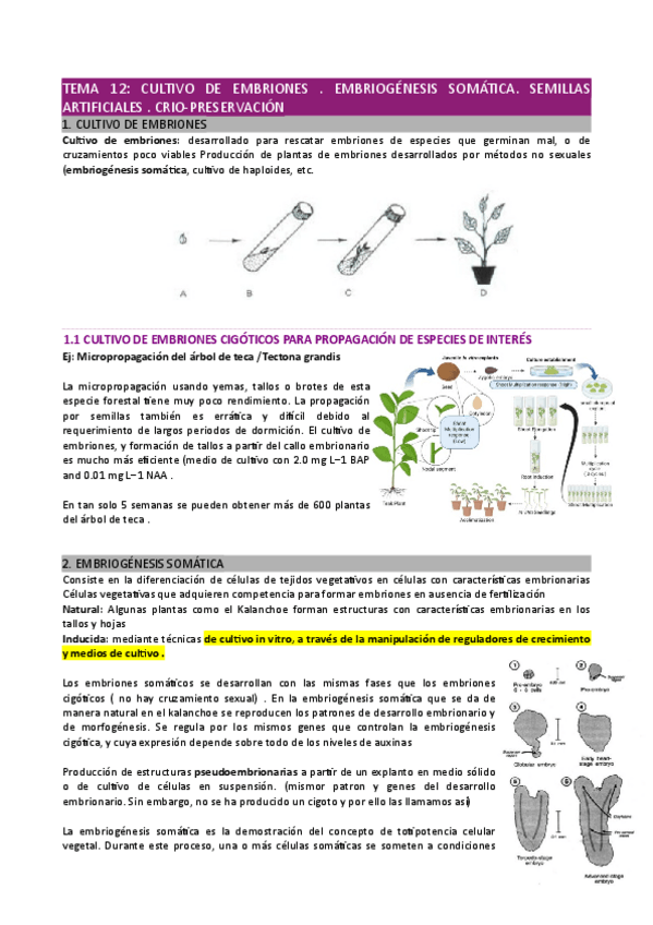 Miniatura del documento Tema-12.pdf