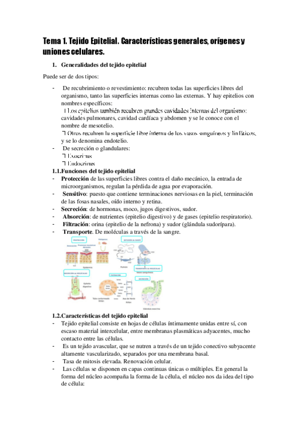 Miniatura del documento Tema-1-tejido-epitelial.pdf