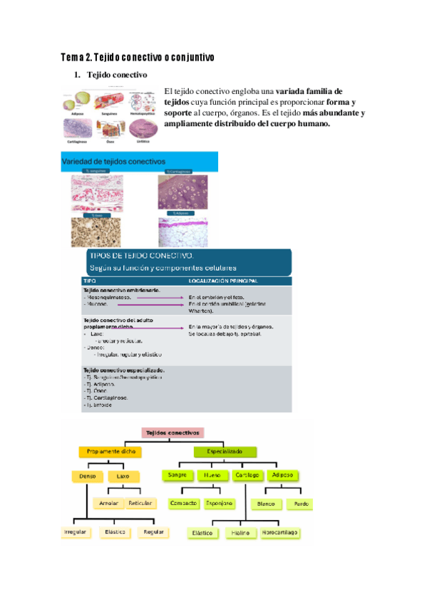 Miniatura del documento Tema-2-y-3.pdf