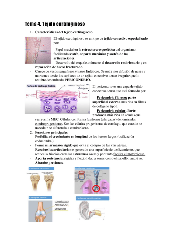 Miniatura del documento tema-4-5-y-6.pdf