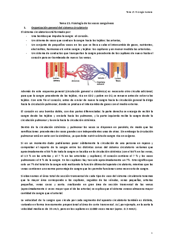 Miniatura del documento Tema-15.-Fisiologia-de-los-vasos-sanguineos.pdf