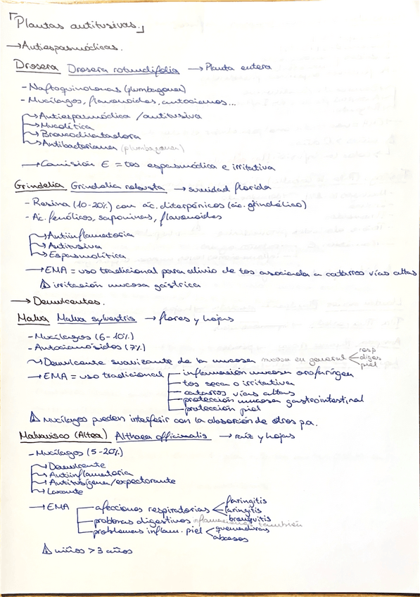 Miniatura del documento parcial2-fito-esq.pdf