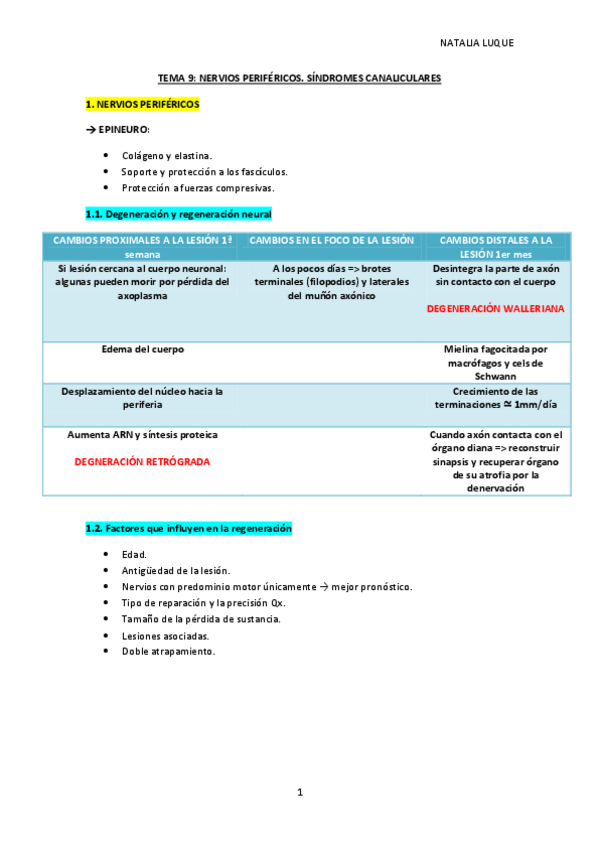 Miniatura del documento TEMA-9-NERVIO-PERIFERICO.pdf