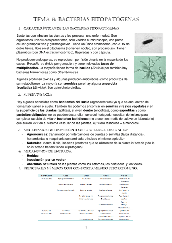 Miniatura del documento tema-8-Bacterias-fitopatogenas.pdf