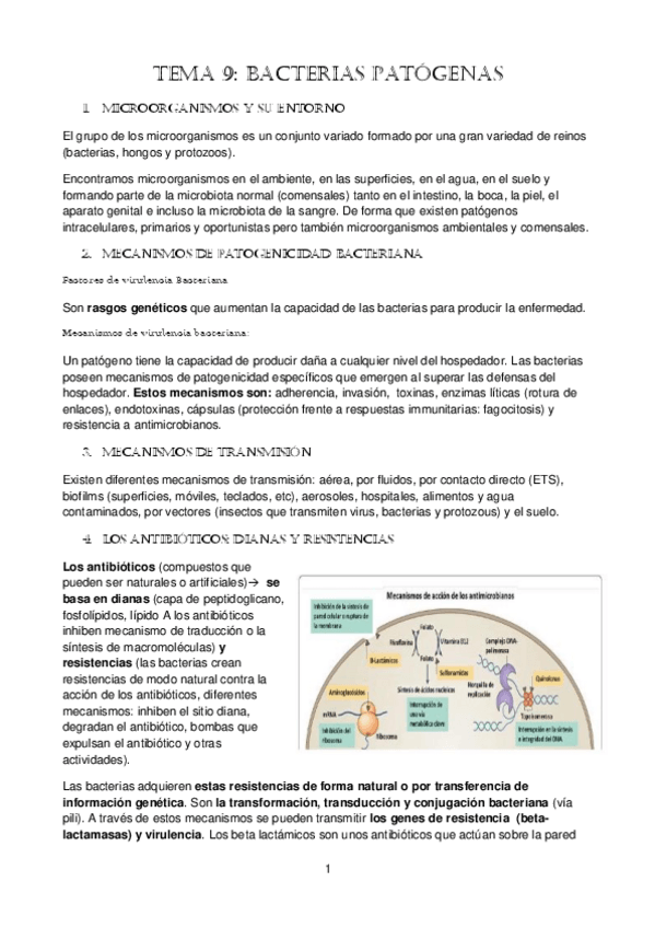 Miniatura del documento tema-9.-Bacterias-patogenas.pdf