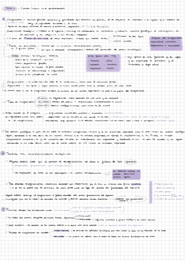 Miniatura del documento Tema-2.pdf