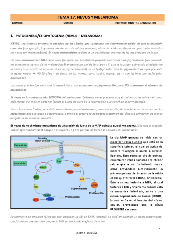 Miniatura del documento T17-Nevus-y-melanoma-2024.pdf