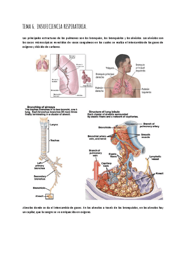 Miniatura del documento Tema-6.pdf