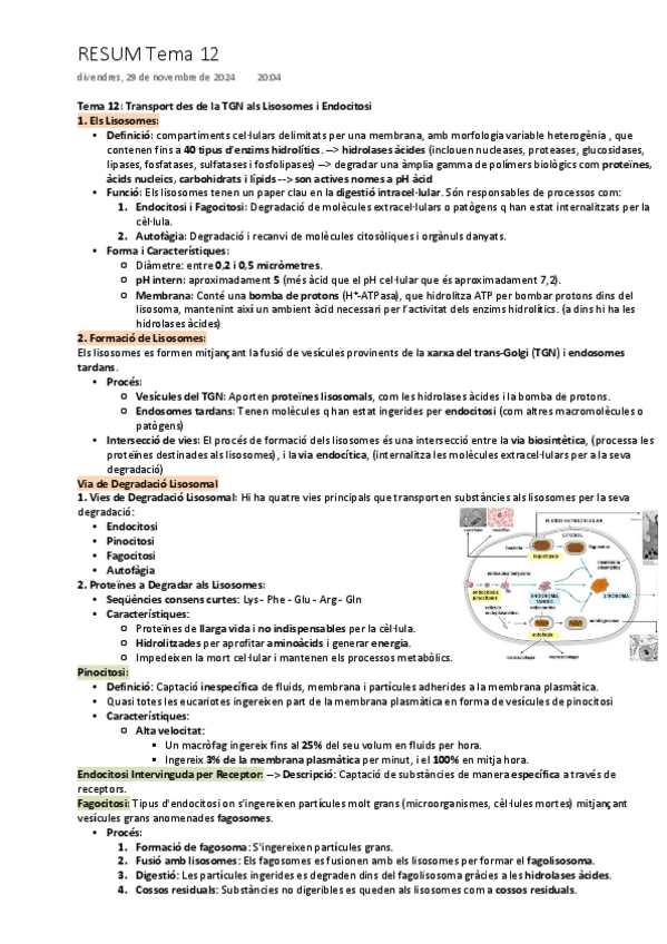 Miniatura del documento Tema-12-Transport-des-de-la-TGN-als-Lisosomes-i-Endocitosi.pdf