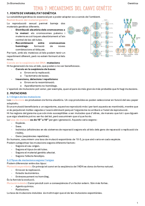 Miniatura del documento T7-Mecanismes-del-canvi-genetic.pdf
