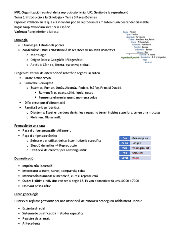 Miniatura del documento Introduccio-Etnologia-Vaques.pdf