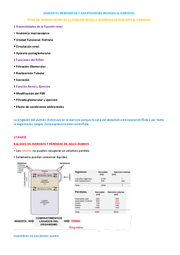 Miniatura del documento UNIDAD-VI-TEMA-20.pdf