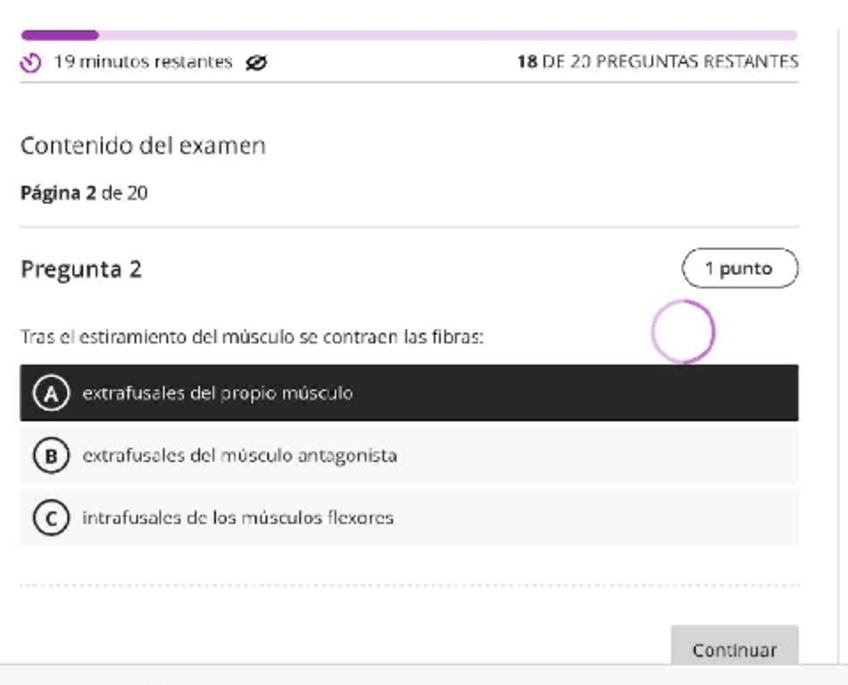 Miniatura del documento Autoevaluacion-Bloque-5.pdf